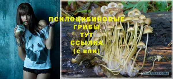 героин Алексин