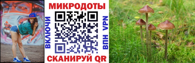 Псилоцибиновые грибы Psilocybine cubensis  мега онион  Лабинск 