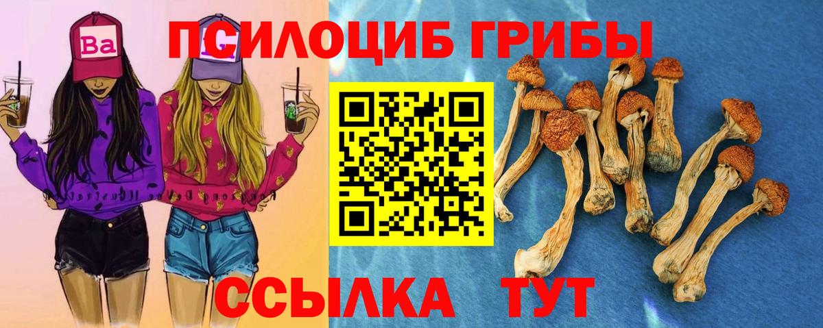 Галлюциногенные грибы Psilocybine cubensis Лабинск
