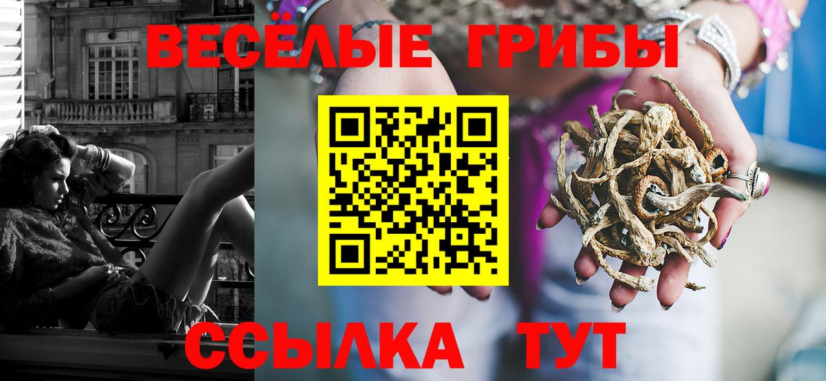 Галлюциногенные грибы Psilocybine cubensis  Вход с VPN  Псилоцибиновые грибы ЛСД  Лабинск 